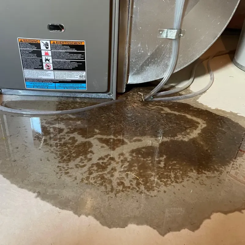 Appliance Leak Cleanup in Clarks Green, PA