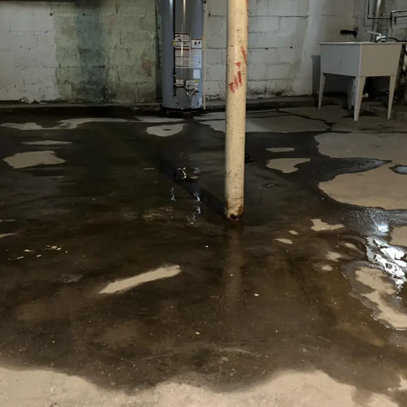 Emergency Water Extraction And Removal in Clarks Green, PA